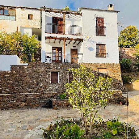 Apartamento Los Laureles 拉洛勒斯 外观 照片